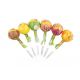 Frutta Pop 10g