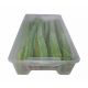 Jumbos Sour Watermelon 50g