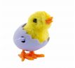 Jumping Chicken in Eggshell cukr.5g