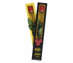 Amore 20g Black box