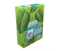 V-GUM Fresh 22,5g Spearmint