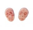 Vidal 90g Jelly Filled Skulls