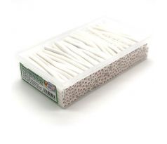 King Regal 8g biela jahoda
