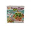 Creative Flower Mini Blocks 5g