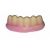 Dentaduras 5g