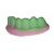 Dentaduras 5g