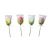 Mallow Tulip 25g Lollipop