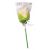 Mallow Tulip 25g Lollipop