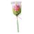 Mallow Tulip 25g Lollipop