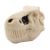 Dino Puzzle Figure in Skull 5g